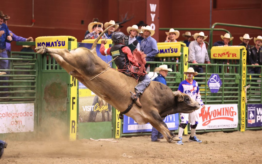The Unstoppable Wyatt Phelps: A Sheridan College Bull-Rider Among the Best in the Country