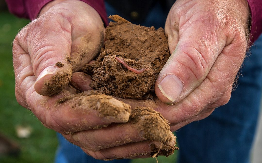 Unlocking the Secrets of Soil: Join Nicole Masters at the 2023 Working Lands Workshop Series