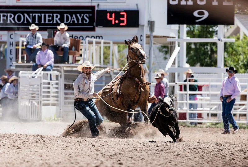 Experience Unparalleled Entertainment at the Gold Buckle Club!