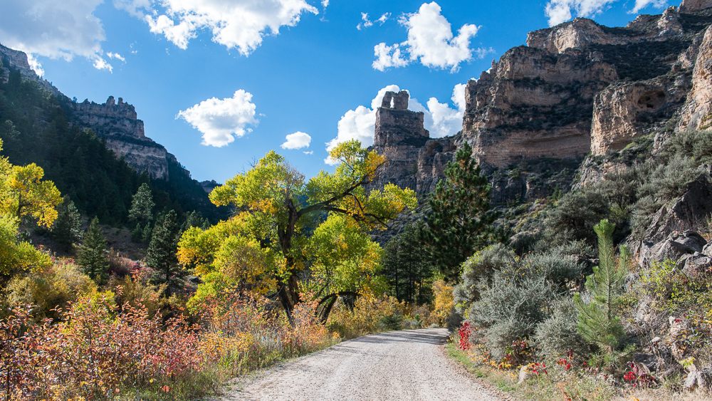 Exploring Sheridan County’s Magnificent Fall Colors: A Guide to Tongue River Canyon